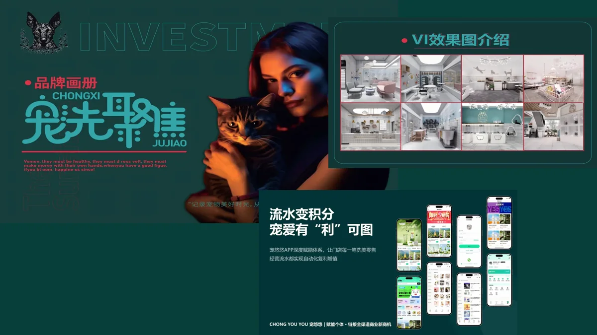 宠洗科技品牌、门店设计与宠悠悠APP展示
