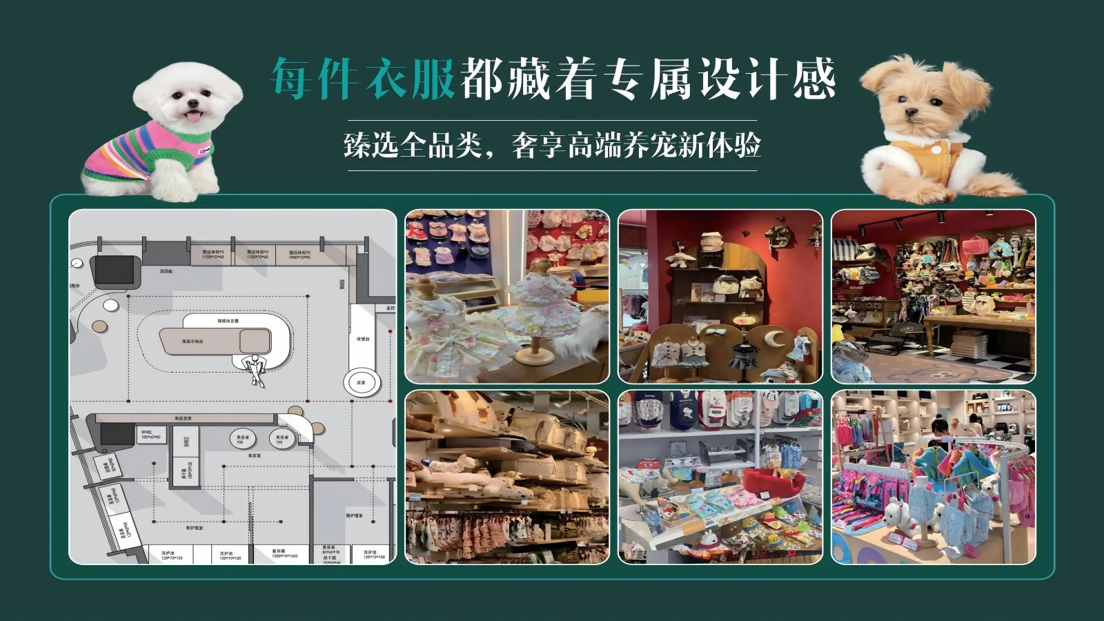 宠物服饰与玩具门店陈列